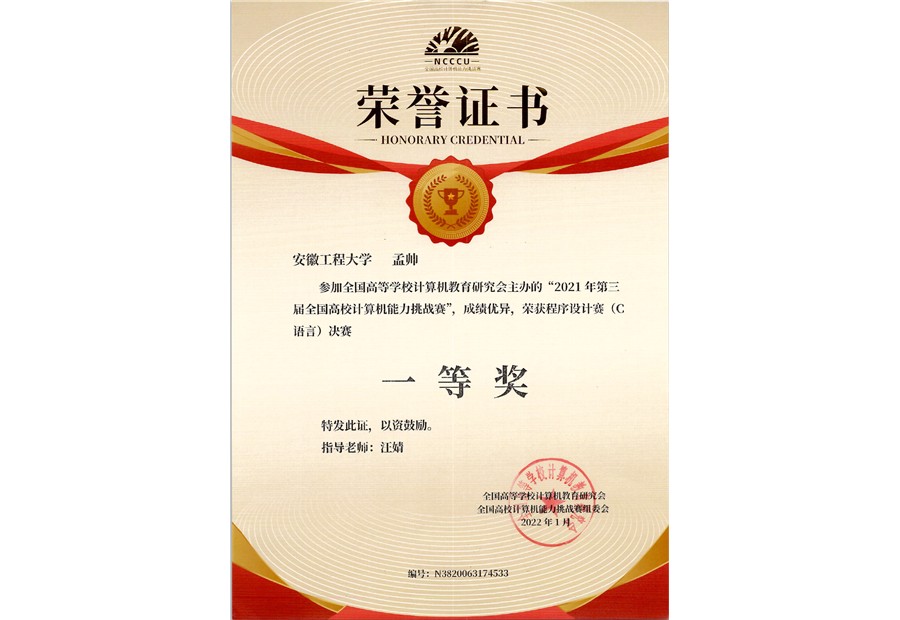 National First Prize, Computer Competency Challenge - C Programming certificate